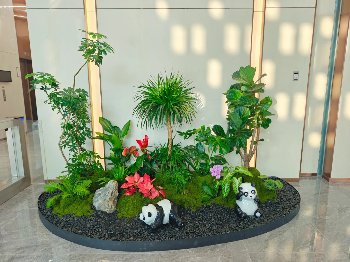 余姚植物租摆设计,为您定制专属绿色天地